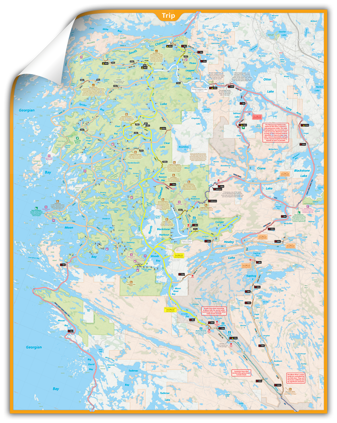Massasauga - Wall Map
